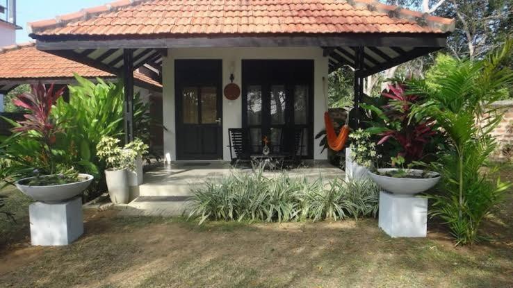Seagulls Garden Cabanas Tangalle Extérieur photo